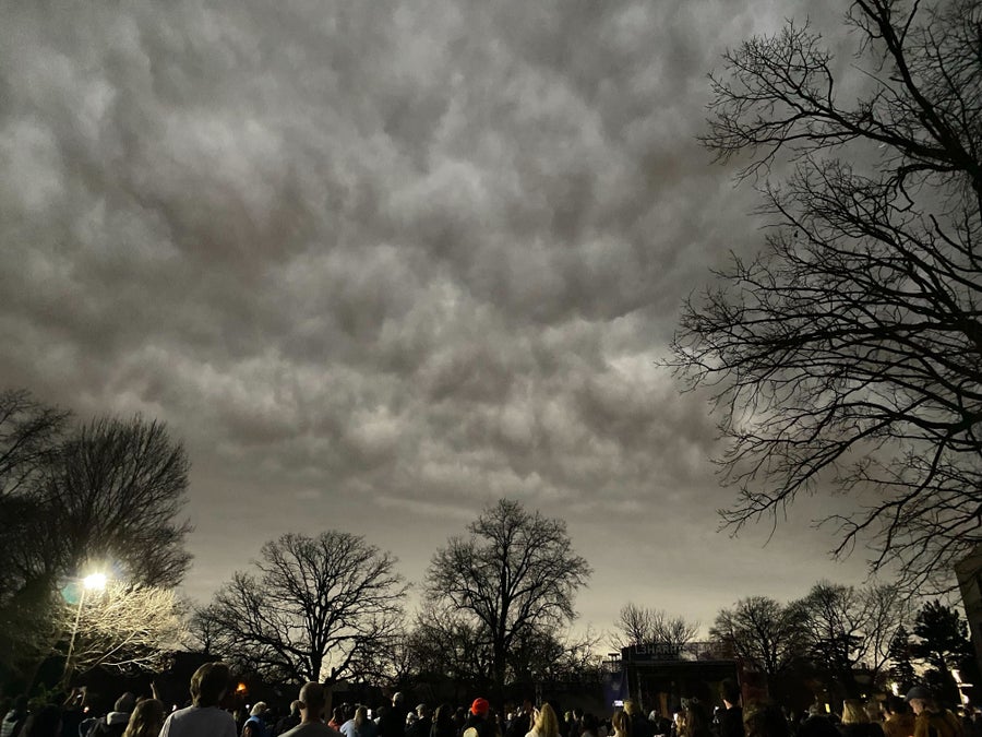 Cloudy skies in Rochester darkened during the eclipse showing trees and spectators