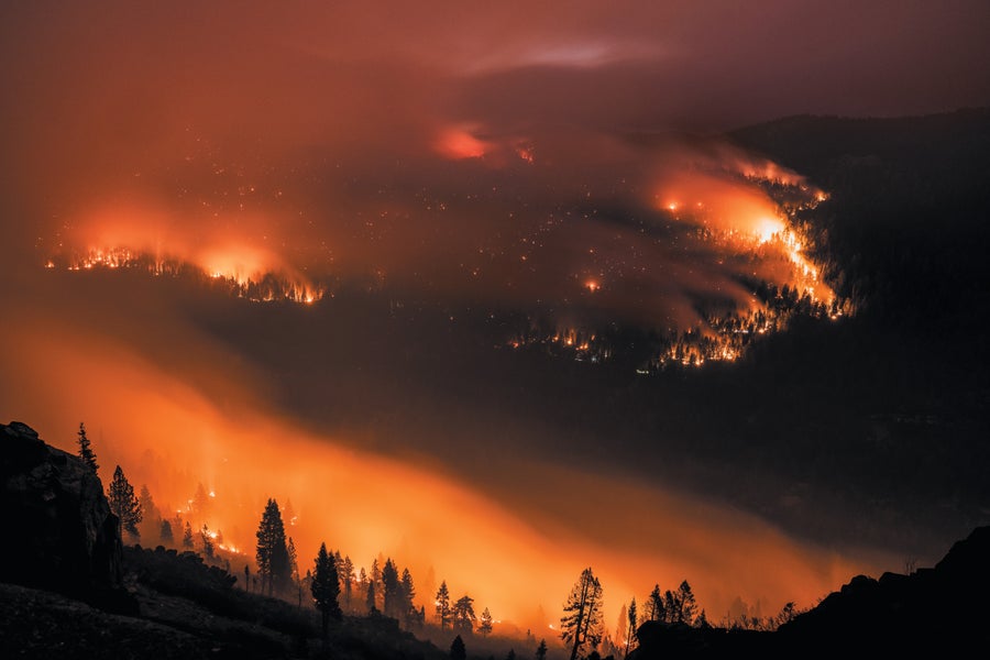 Aerial image of a forest fire