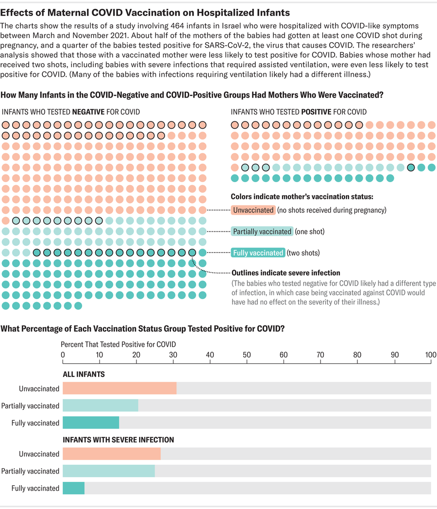 Numbers of infants in COVID-positive and COVID-negative groups are represented by arrays of dots color coded by mother’s vaccination status. Bar chart shows percentage of infants that tested positive by mother’s vaccination status.